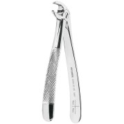 FÓRCEPS DE EXTRACTION FIG.33 RACINES INFERIEURES