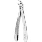 FÓRCEPS DE EXTRACTION FIG.33 RACINES INFERIEURES