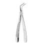 FÓRCEPS EXTRACTION RACINES INFERIEURES Nº145