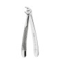 FÓRCEPS DE EXTRACTION FIG.13 PREMOLAIRES INFERIEURES