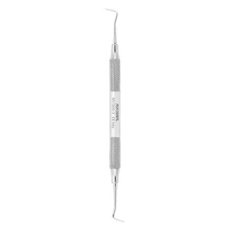 OBTURATEUR AMALGAME HOLLEMBACK FIG.3
