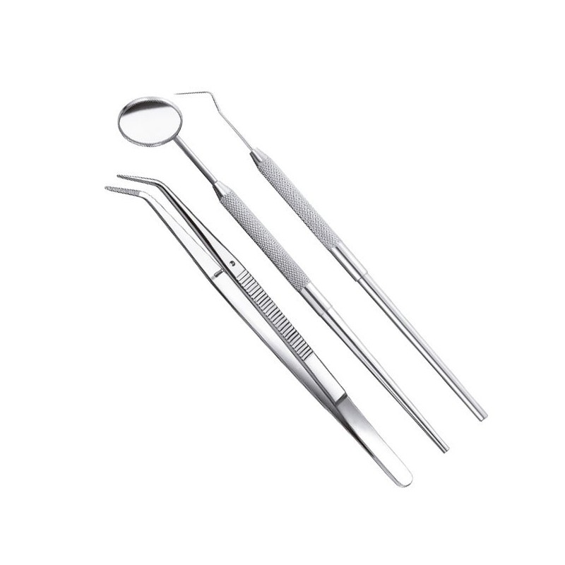 KIT PREMIER EXAMEN PINCESplusSONDEplusMIROIR