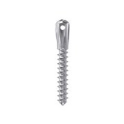 MINI IMPLANTS ORTHODONTIQUES AUTOFILETES TETE HAUTE Ø2 mm 1 Ud