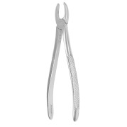 FÓRCEP 1 EU MS ANTERIEUR SILVER