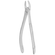 FÓRCEPS 17 EU MS MOLAIRE DROITE SILVER