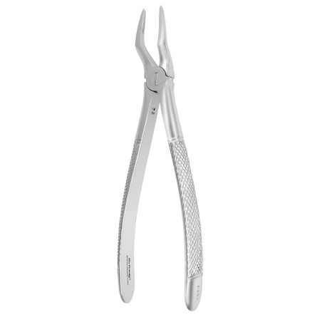 FÓRCEPS 51 EU MS RACINES SILVER