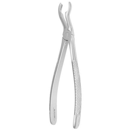 FÓRCEPS 67A RU MS  3° MOLAIRE SILVER