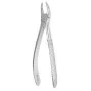 FÓRCEPS 7 EU MS PREMOLAIRE SILVER