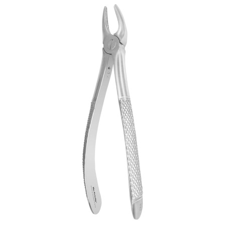 FÓRCEPS 7 EU MS PREMOLAIRE SILVER