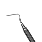 FS1/2S LIME PERIODONTIQUE SUGARMAN