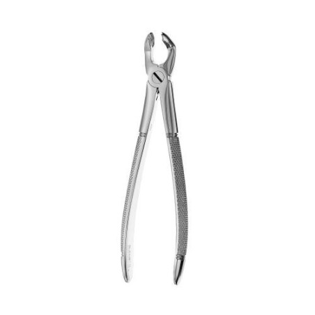 FORCEPS CORDAL INF. EUROPEO