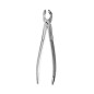 FORCEPS CORDAL INF. EUROPEO