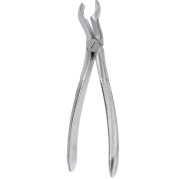 FORCEPS CORDAL SUPERIEURE