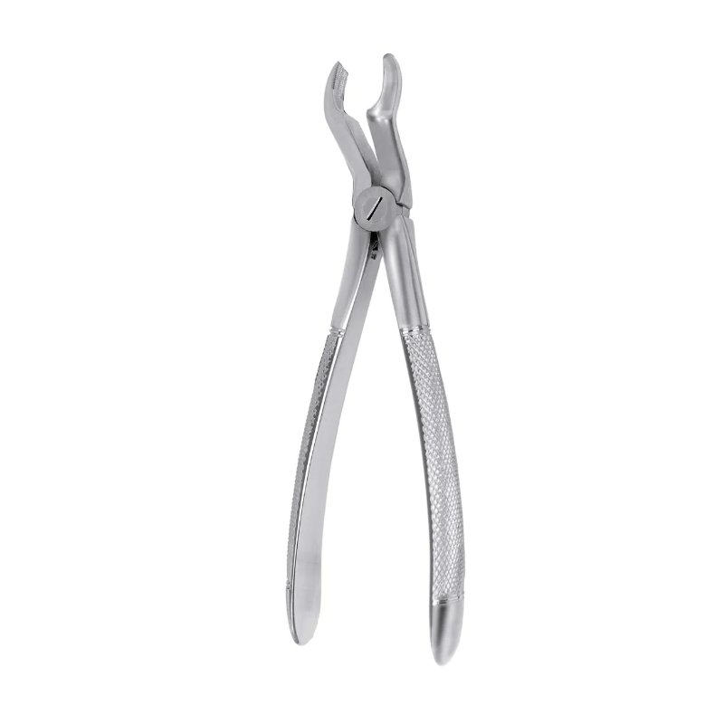 FORCEPS CORDAL SUPERIEURE