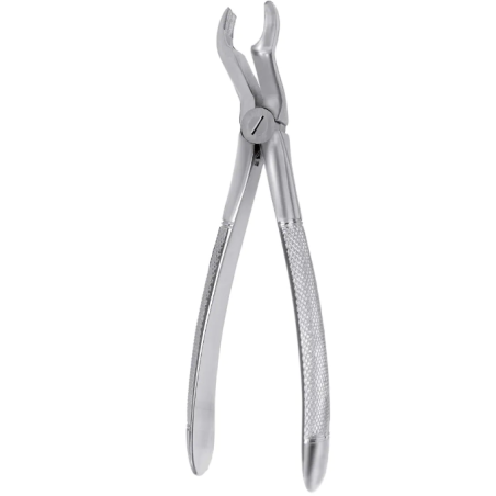 FORCEPS CORDAL SUPERIEURE
