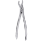FORCEPS CORDAL SUPERIEURE