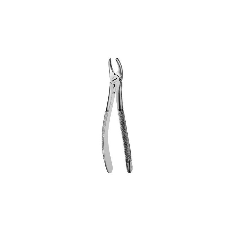 FORCEPS MOLAIRE DROITE