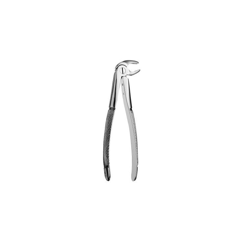 FORCEPS ODONT. FORME EUROPEA