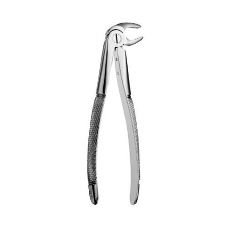 FORCEPS ODONT. FORME EUROPEA