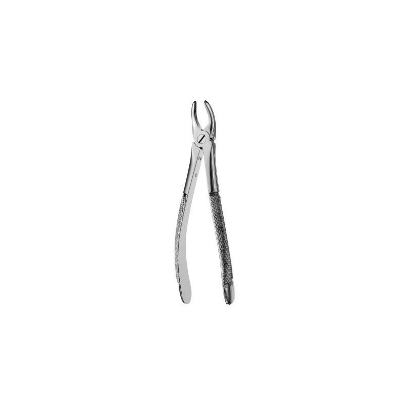 FORCEPS EUROPEO PREMOLAIRE SUPERIEURE