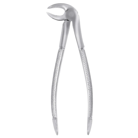 FORCEPS RACINES INFERIEURES