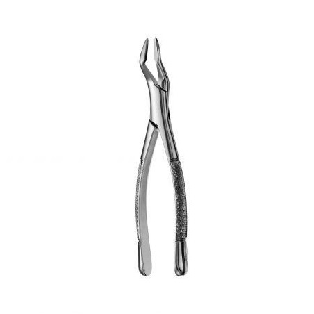 FORCEPS PARMLY ALVEOLAR