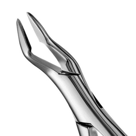 FORCEPS PARMLY ALVEOLAR
