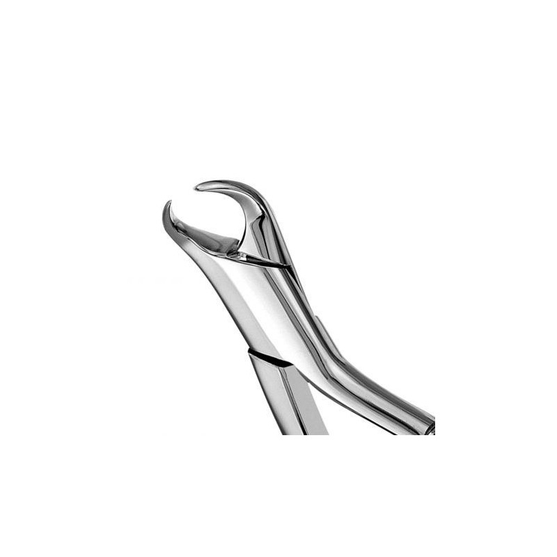 FORCEPS CUERNO DE VACA