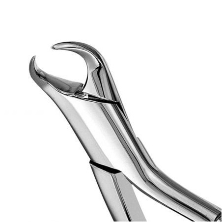 FORCEPS CUERNO DE VACA