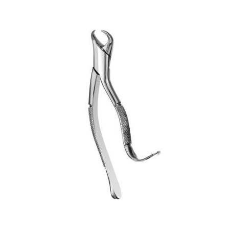 FORCEPS CUERNO DE VACA