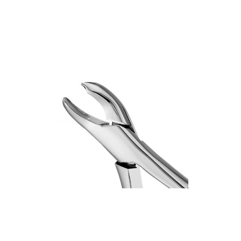 FORCEPS ODONTOLOGICO HARRIS