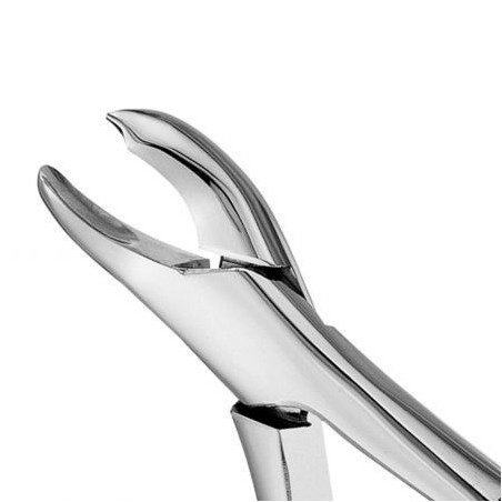 FORCEPS ODONTOLOGICO HARRIS
