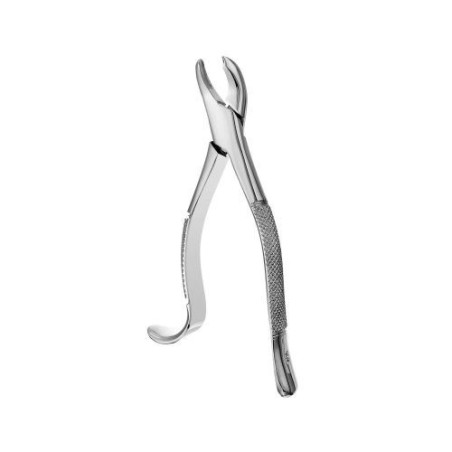 FORCEPS ODONTOLOGICO HARRIS