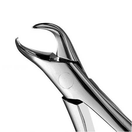 FORCEPS 1º et 2º MOLAIRES INFERIEURES