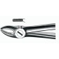 FORCEPS Nº 7 PREMOLAIRE SUPERIEURE E7 CARL MARTIN