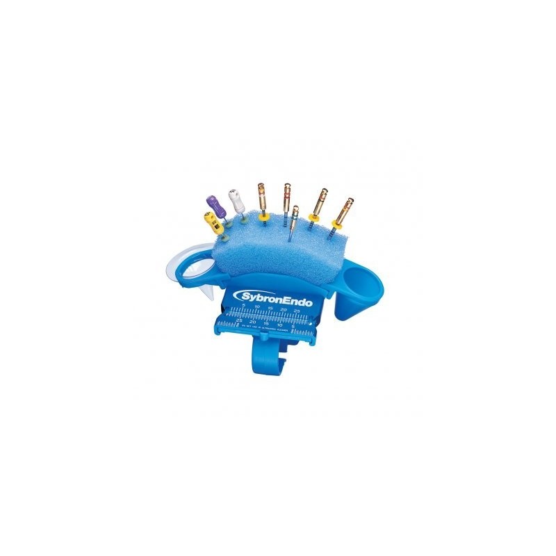 EPONGES ENDO RING 48 unites