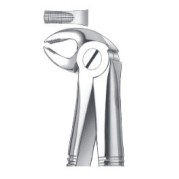 FORCEPS ENFANTS PREMOLAIRE INFERIEURE 13K CARL MARTIN