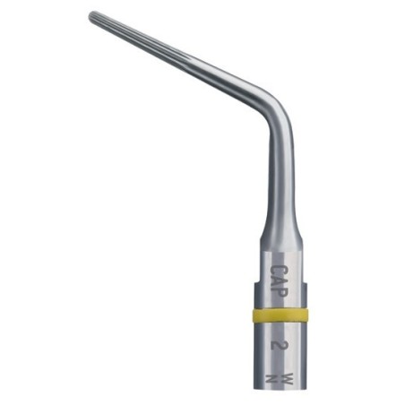 INSERT ENDODONTIE CAP2