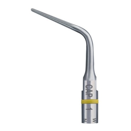 INSERT ENDODONTIE CAP1