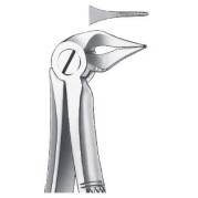 FORCEPS RACINES INFERIEURES 136 CARL MARTIN