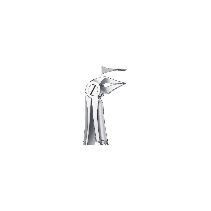 FORCEPS RACINES INFERIEURES 136 CARL MARTIN