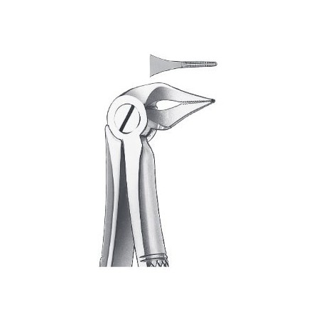 FORCEPS RACINES INFERIEURES 136 CARL MARTIN