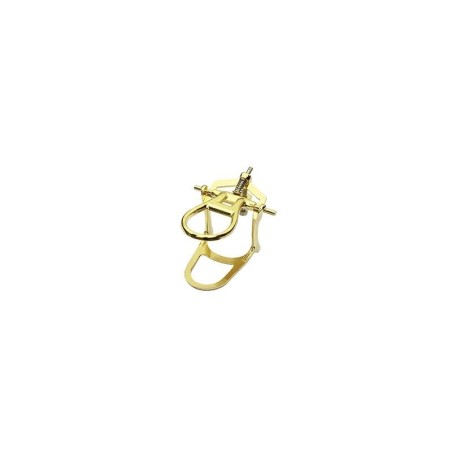 ARTICULATEUR DE CHARNELA GRAND DORE