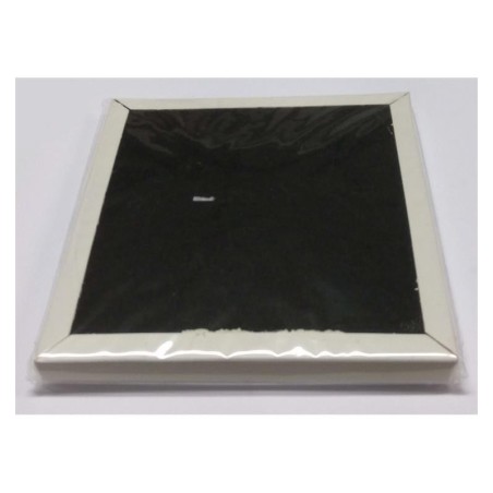 FILTRE CARBONO POUR PROTECTEUR POLISSEUR AVEC ASPIRATION (5 Unites