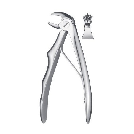 FORCEPS KLEIN ENFANT MOLAIRE INFERIEURE LIQUID STEEL LS280A/6 CARL MARTIN