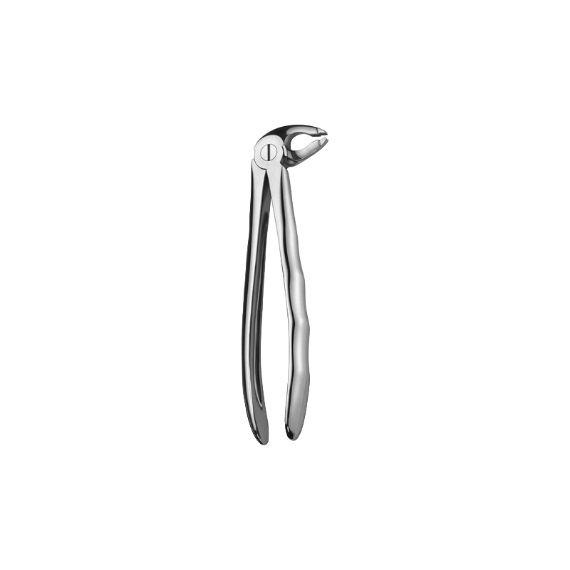 LS118 FORCEPS PREMOLAIRES INF. LIQUID STEEL LS118 FORCEPS PREMOLAIRES INF. LIQUID STEEL