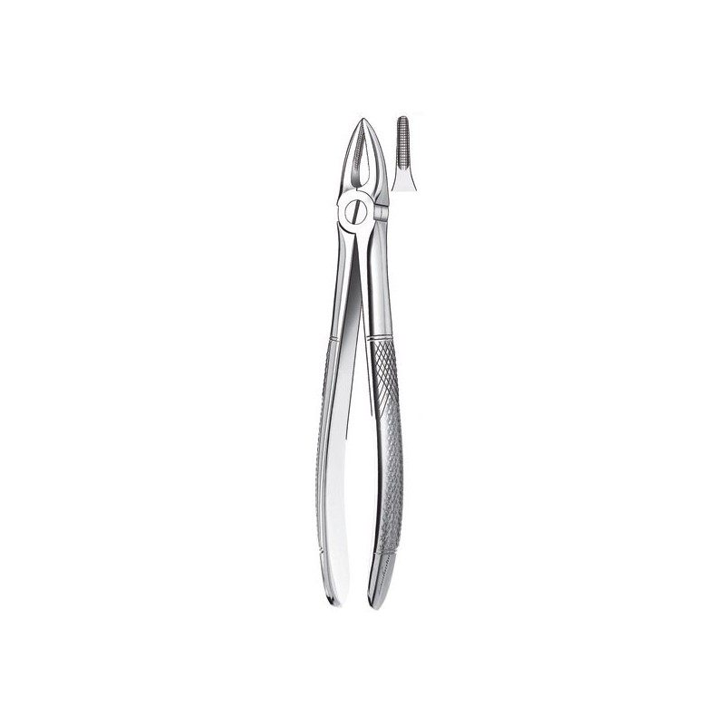 29 FORCEPS RACINES SUPERIEURES 29 FORCEPS RACINES SUPERIEURES