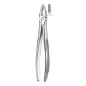 29 FORCEPS RACINES SUPERIEURES 29 FORCEPS RACINES SUPERIEURES