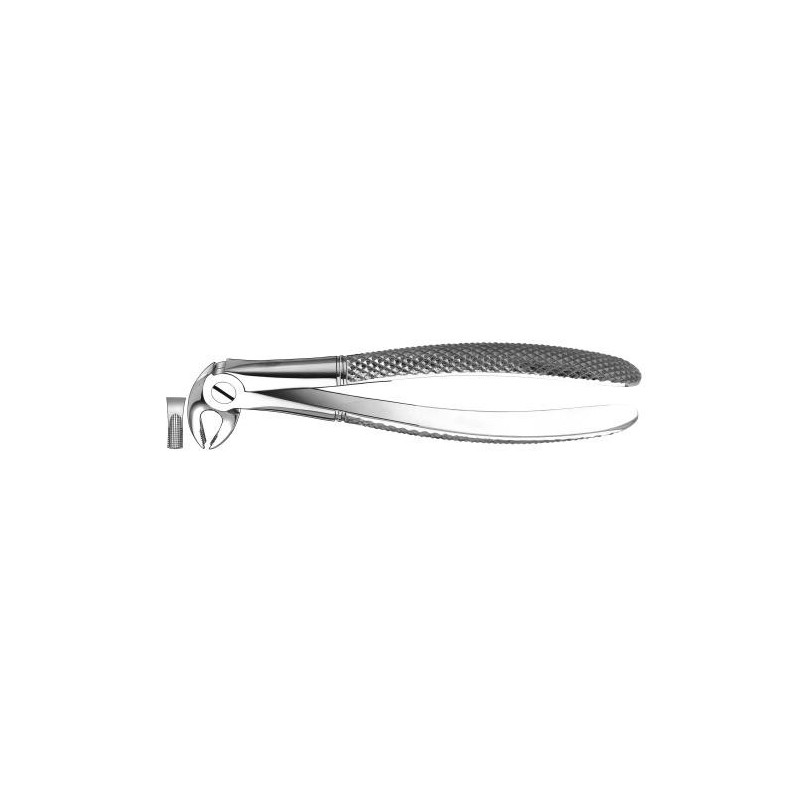 FORCEPS PREMOLAIRE INFERIEURE 13 CARL MARTIN