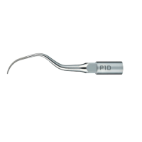 INSERT P1D PERIO